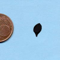 109-beuk-klein_20180402111253