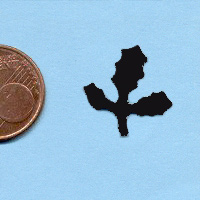 120-hulst_20180402111253