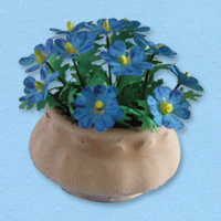 anemone blanda_20180402111255