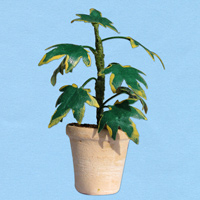 groene-plant-2_20180402111257