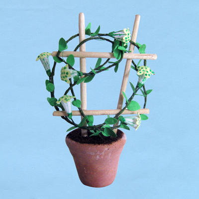 african-parachute_20180402111303