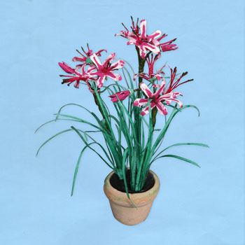 amarine-belladiva_20180402111255