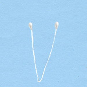 meeldraden-parelmoer-wit