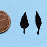 115-lange-blad_20180402111253