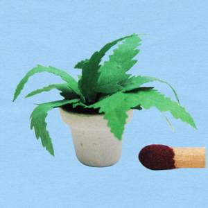 1op24-groene-plant-1_20180402111300