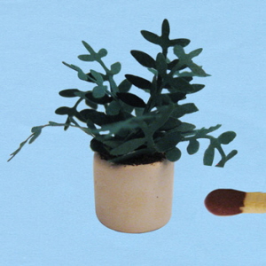 1op24-groeneplant-2_20180402111300