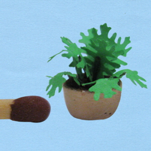 1op48-groeneplant-1_20180402111300