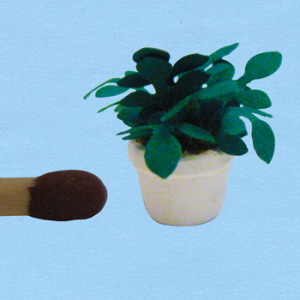 1op48-groeneplant-2_20180402111300