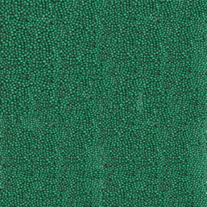 4205
