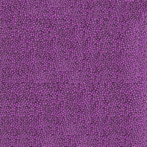 801580_4209-1024