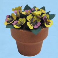 viooltjes-geel_20180402111256